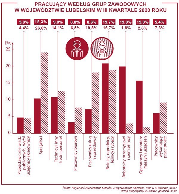 Obraz przedstawia wykres słupkowy podany procentowo, pracujących według grup zawodowych kobiet i mężczyzn w województwie lubelskim w III kwartale 2020 roku. Przedstawiciele władz publicznych, wyżsi urzędnicy i kierownicy - mężczyźni 5 procent, kobiety 4,4 procent. Specjaliści - mężczyźni 12,3 procent, kobiety 26,6 procent. Technicy i inny średni personel - mężczyźni 9 procent, kobiety 14,1 procent. Pracownicy biurowi - mężczyźni 3,8 procent, kobiety 6,5 procent. Pracownicy usług i sprzedawcy, mężczyźni - 8,6 procent, kobiety 19,8 procent. Rolnicy, ogrodnicy, leśnicy i rybacy - mężczyźni 19,7 procent, kobiety 16,7 procent. Robotnicy przemysłowi i rzemieślnicy - mężczyźni 19 procent, kobiety 1,8 procent. Operatorzy i monterzy maszyn i urządzeń - mężczyźni 15,9 procent, kobiety 2,3 procent. Pracownicy wykonujący prace proste - mężczyźni 5,4 procent, kobiety 7,3 procent.