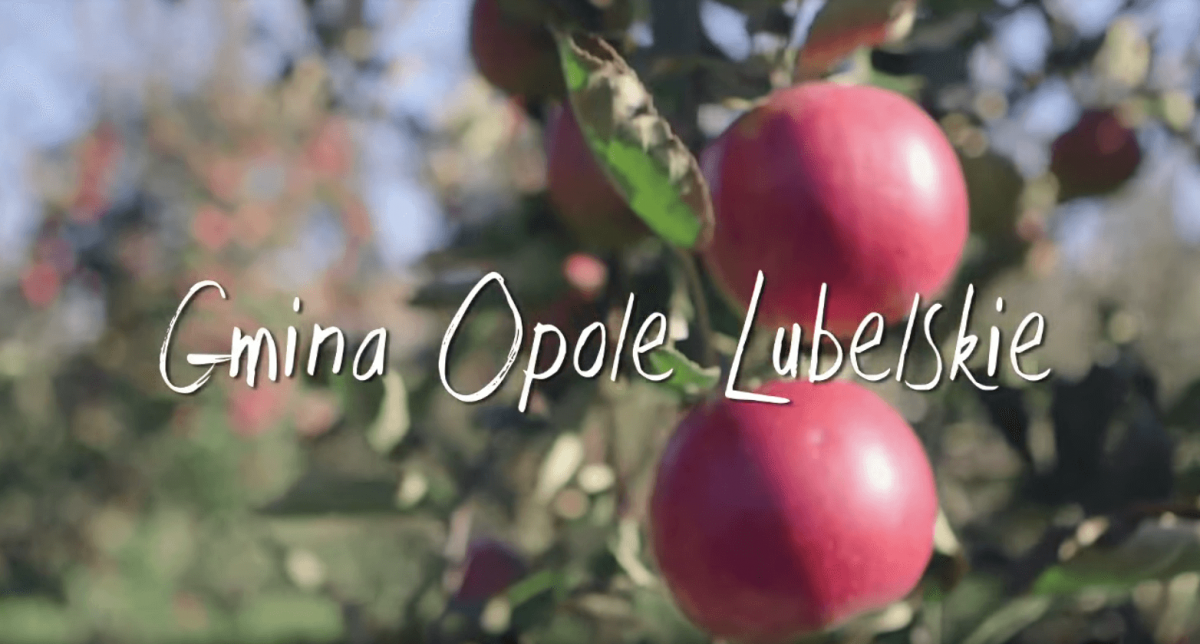 Gmina Opole Lubelskie inwestycje